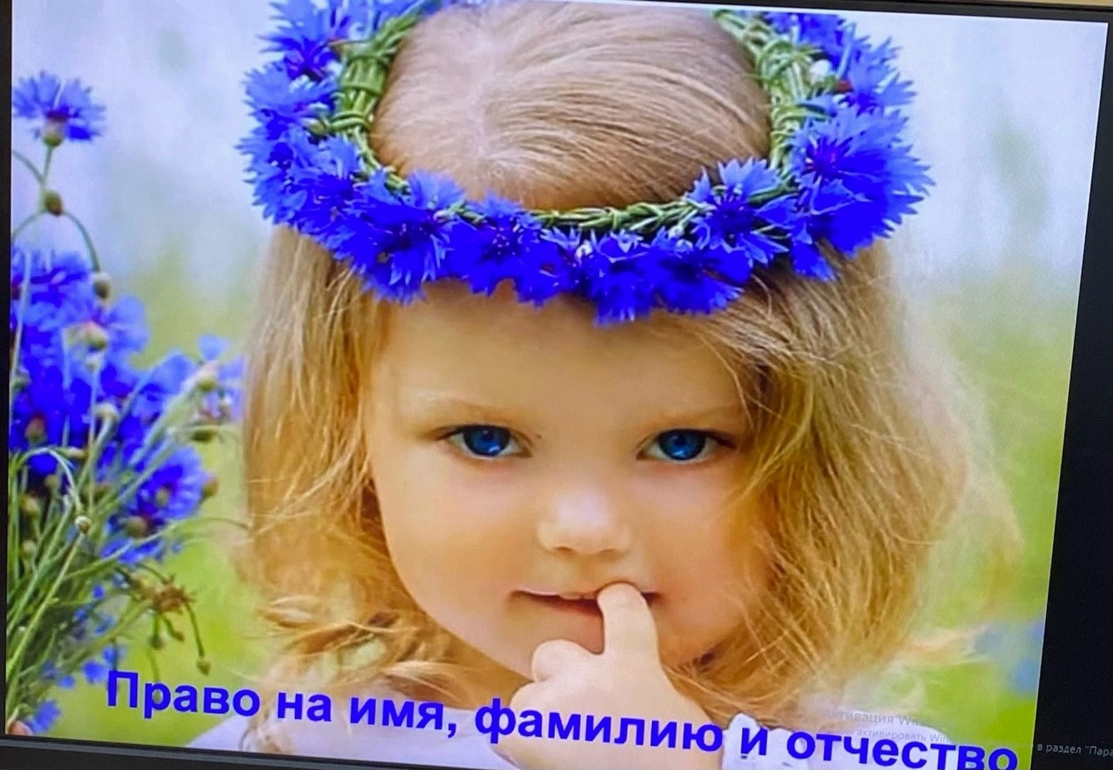 правовая грамотность (5)