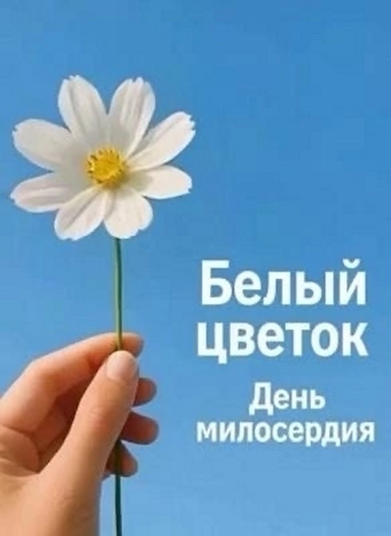 Урок доброты (7)