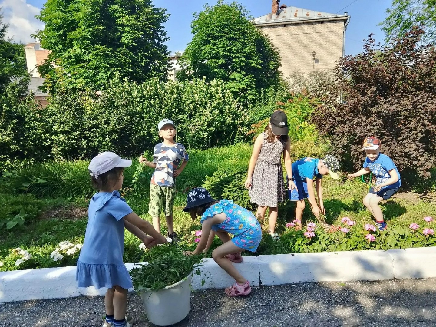 забота о природе (3)
